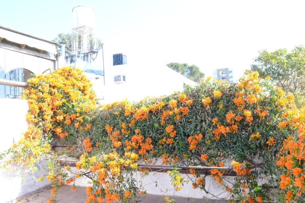 Casa Colonial En Salta Nueva Y Antigua 아파트 외부 사진