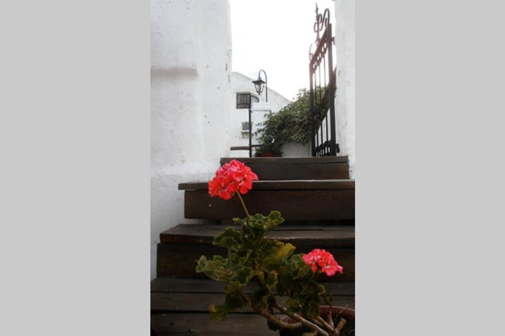 Casa Colonial En Salta Nueva Y Antigua 아파트 외부 사진